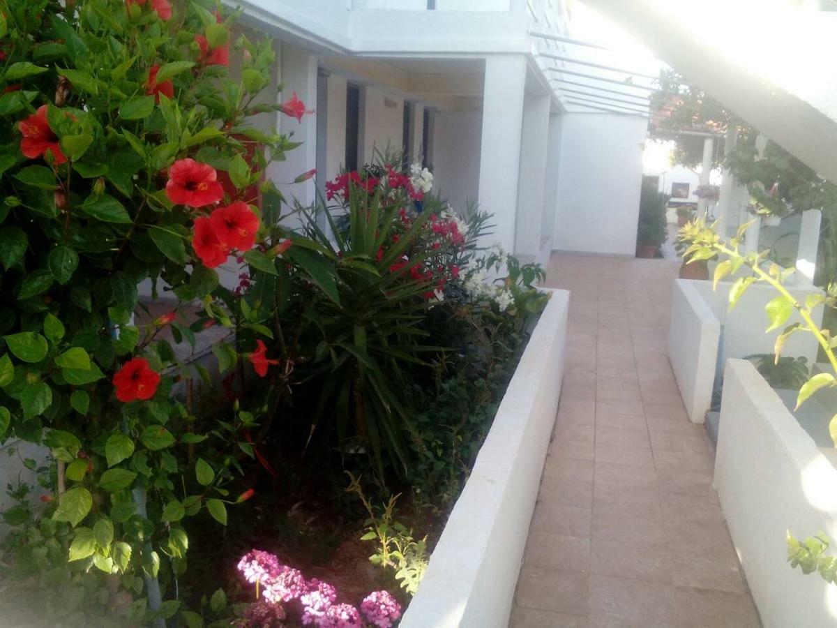 Villas Irene 5 Family Apartments Kokkini Hani Exteriör bild
